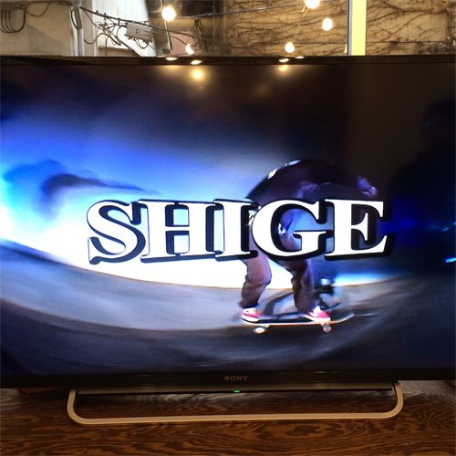 shige