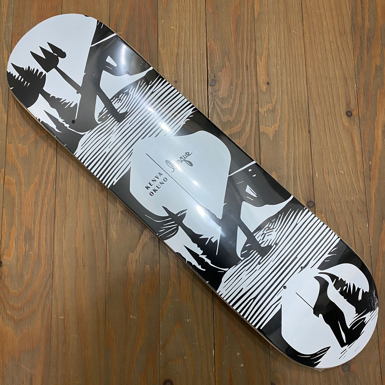 最新デザインの スケートボードDVD Skateboarding Lesque