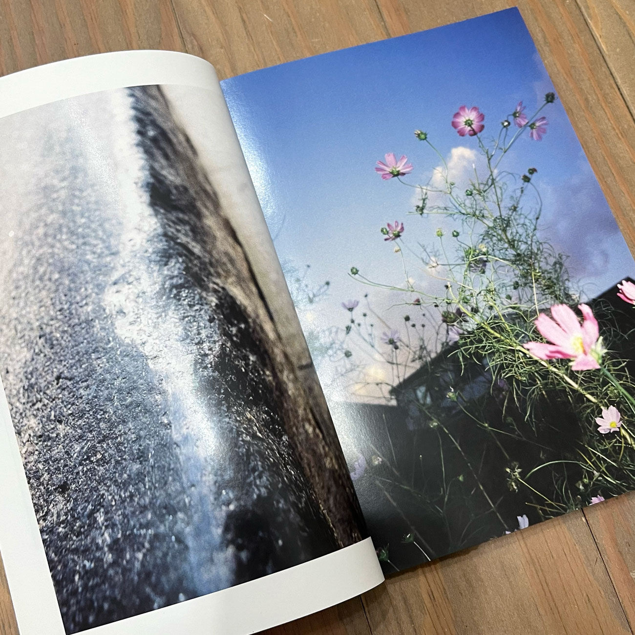 JUST FOR / Just peace girls skateboarding