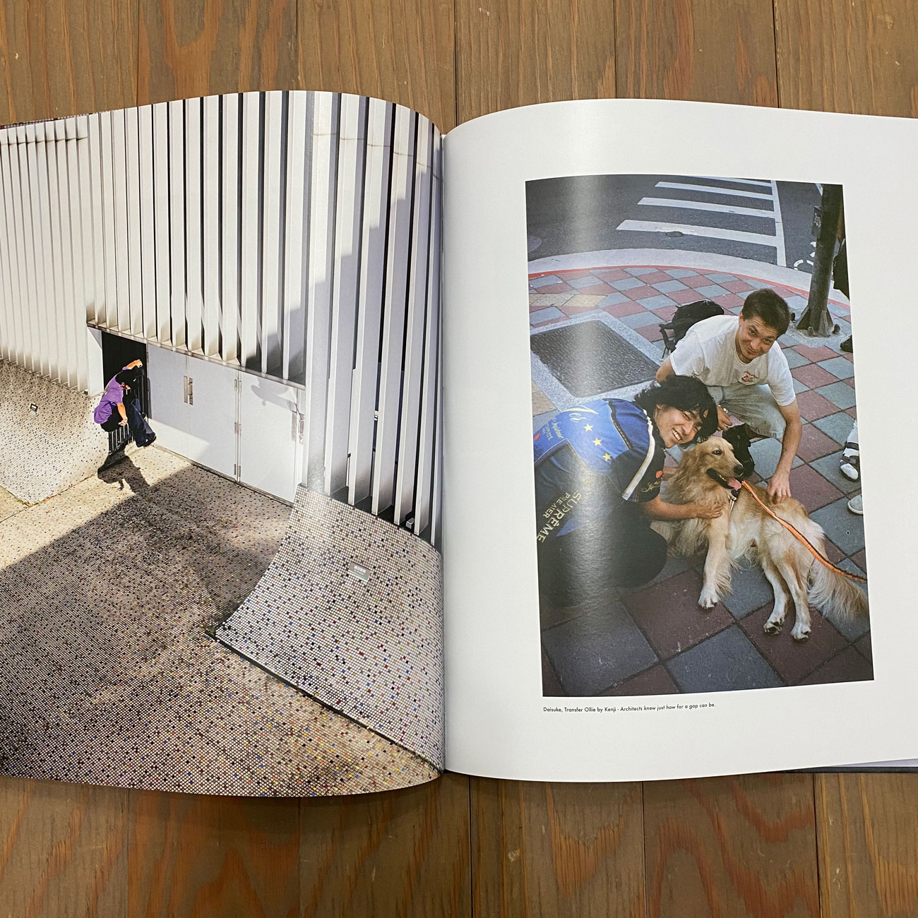 POCKET SKATEBOARD MAGAZINE VOL.10 POOCKET TAIPEI