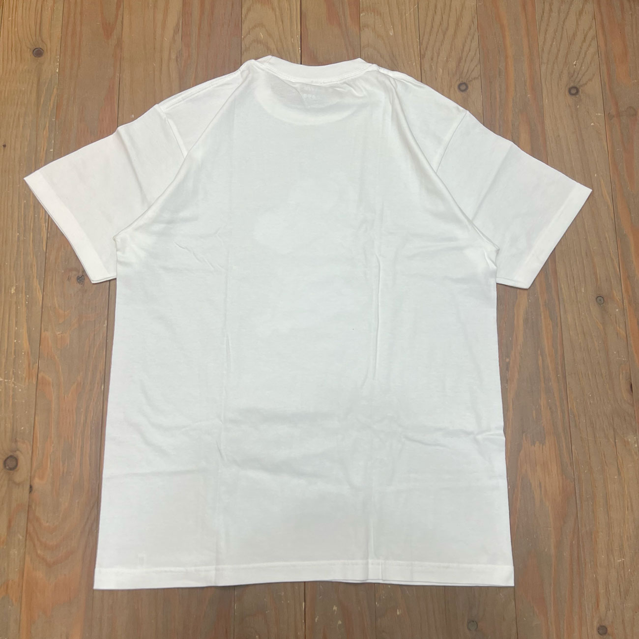 PLANT RIO MORISHIGE TEE