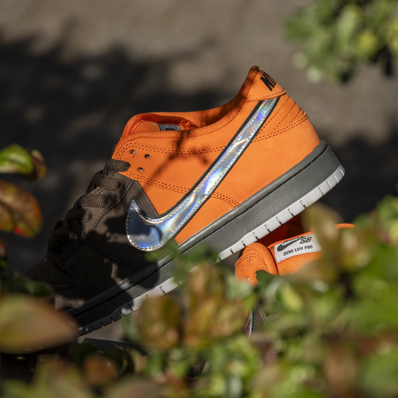 NIKE SB DUNK LOW PRO