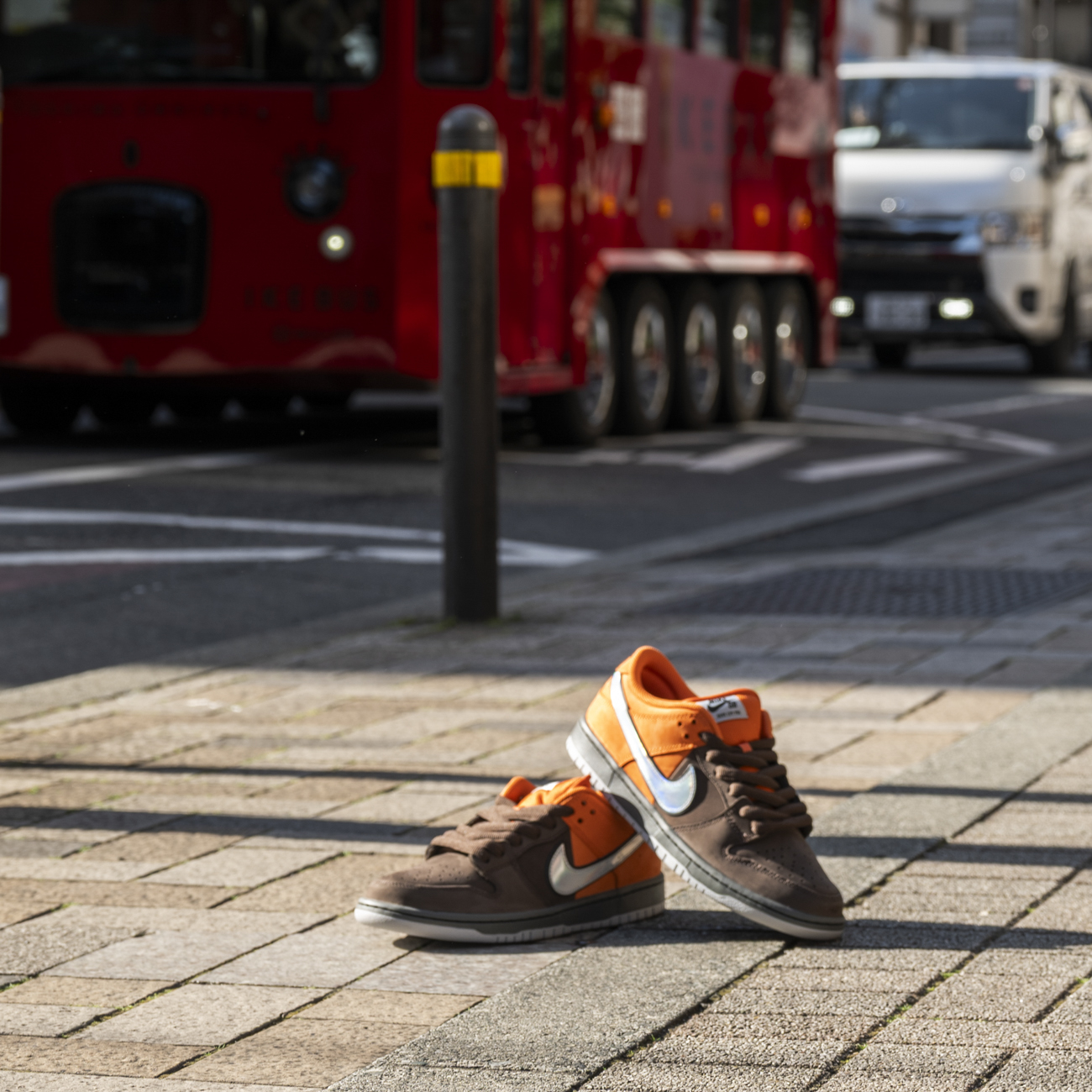 NIKE SB DUNK LOW PRO