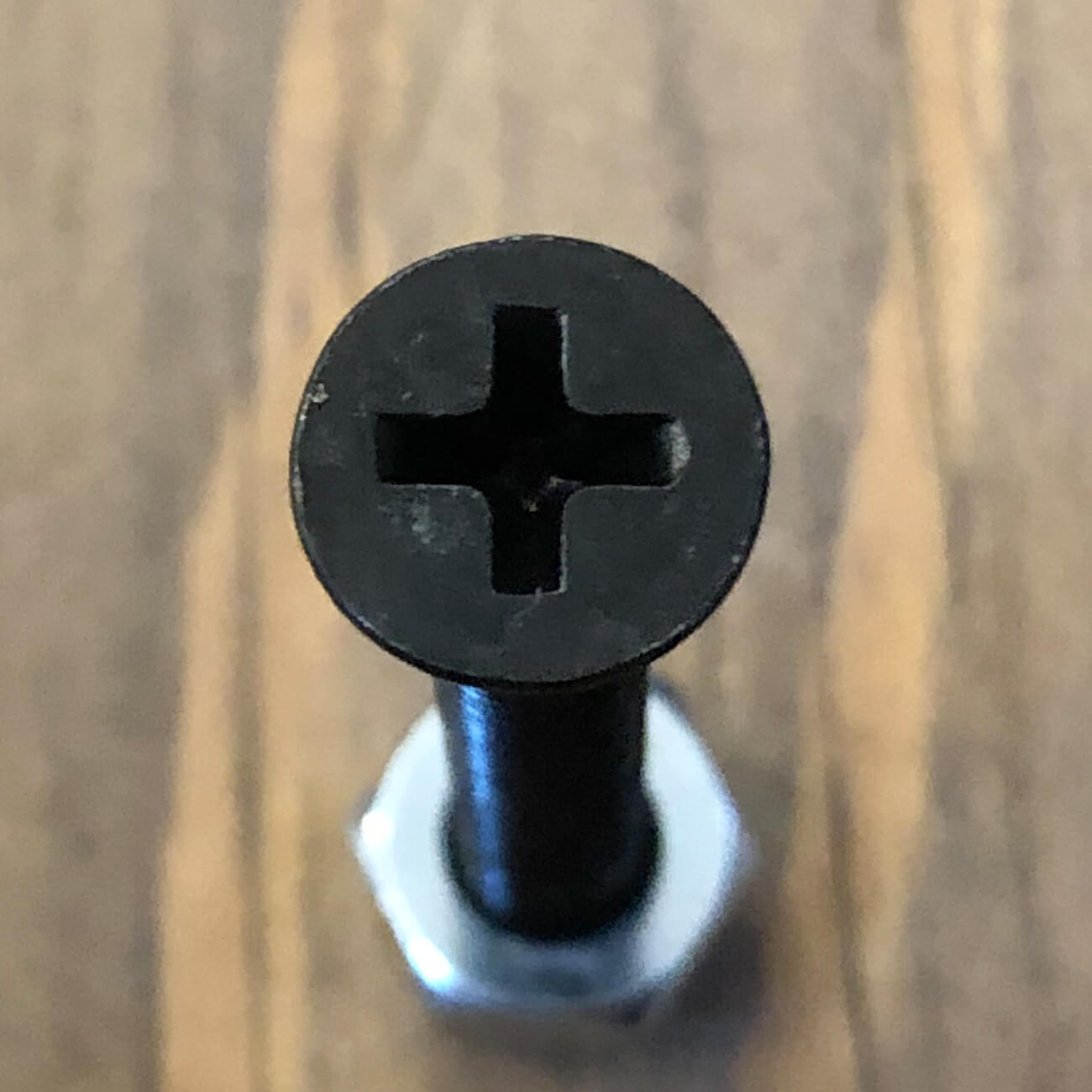 【1 1/2inchプラス】MINILOGO BOLTS 